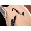 Saga AM-10 A-Model Mandolin Kit - Image 4