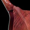 Saga AM-10 A-Model Mandolin Kit - Image 5