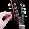 Saga AM-10 A-Model Mandolin Kit - Image 7