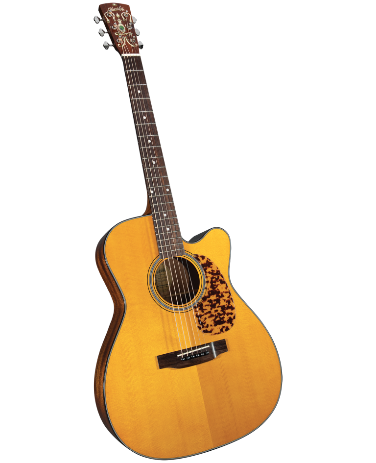 Blueridge | Saga Musical Instruments