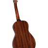 Blueridge BR-341 Historic Series Parlor Guitar - Image 2