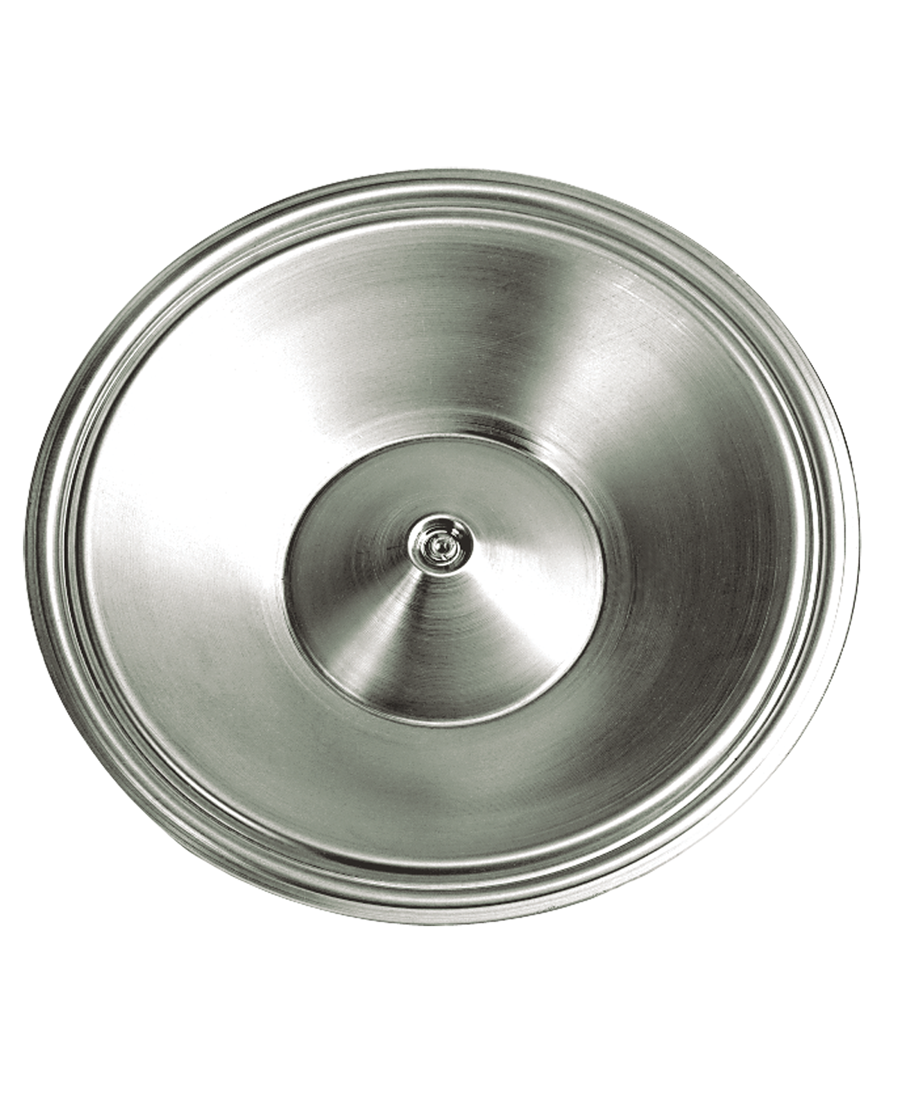 Golden Gate DP-120 Resophonic Guitar Cone