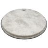 P-191 Banjo Head