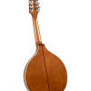 Trinity College TM-250 Standard Celtic Mandolin - Natural Top - Image 3