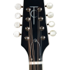Trinity College TM-375 Standard Irish Bouzouki - Natural Top - Image 2