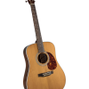Bristol by Blueridge BL-160 Deluxe Series Dreadnaught Guitar