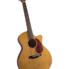Bristol by Blueridge BL-143CE Deluxe Series Cutaway Acoustic-Electric Grand Auditorium Guitar
