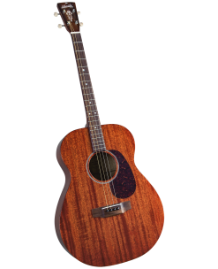 Blueridge | Saga Musical Instruments